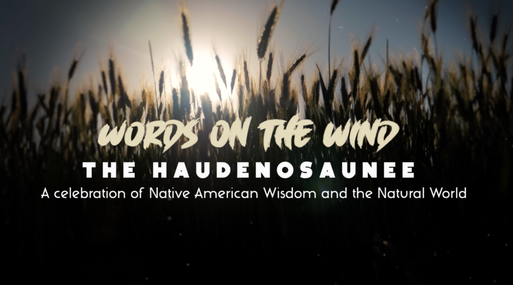 Words On the Wind... Celebrating Native American Wisdom and the Natural World