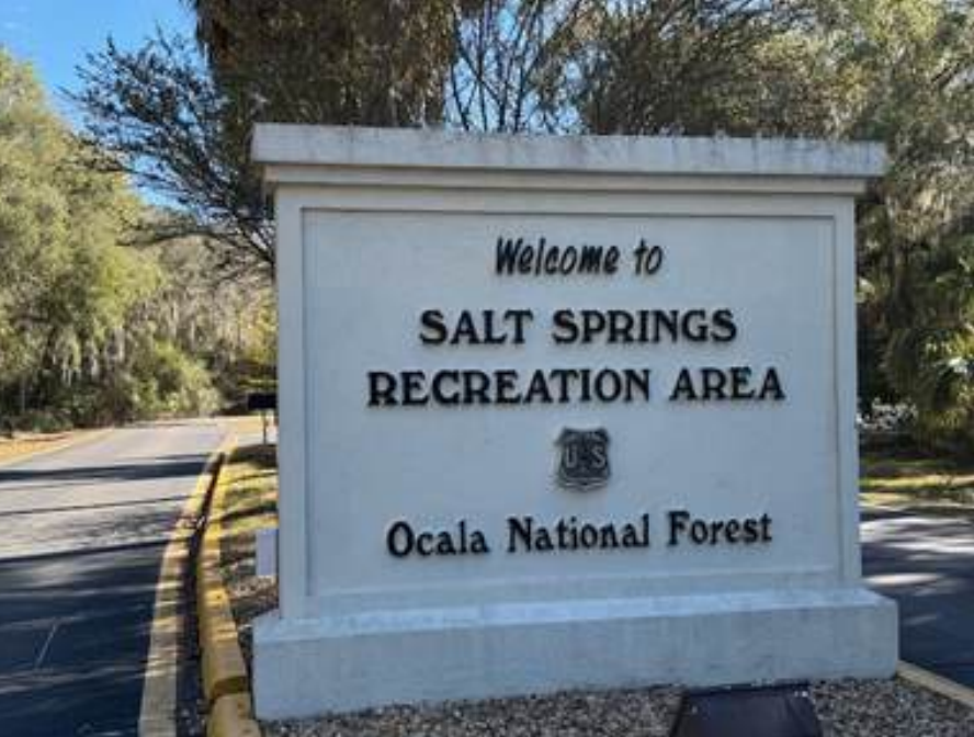 Welcome to Salt Springs Recreation Area, Ocala National Forest